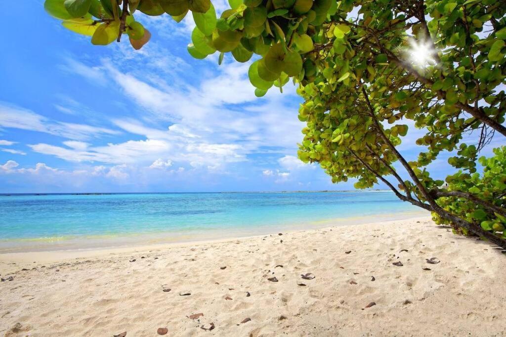 Cozy 1-Bedroom Apartment Minutes Away Drive To Mangel Halto Beach Savaneta Экстерьер фото